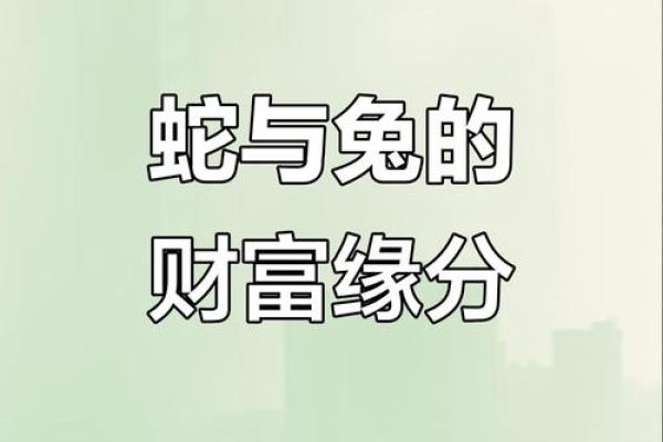 属兔婚配命理中的命运密码:你不知道的隐藏玄机 属兔婚配命理中的命运密码:你不知道的隐藏玄机