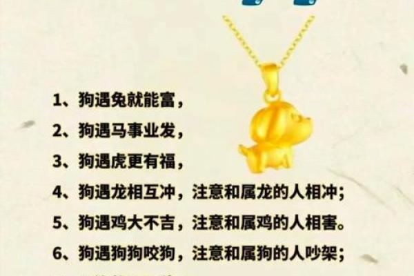 属兔婚配命理中的命运密码:你不知道的隐藏玄机 属兔婚配命理中的命运密码:你不知道的隐藏玄机