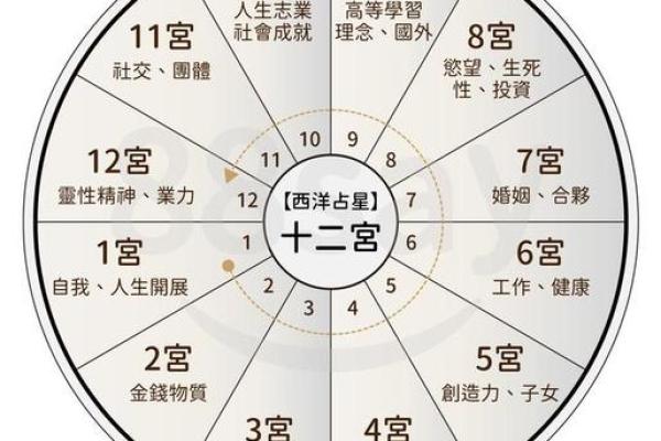 命运密码揭示:复婚背后的隐藏玄机,你真的了解吗? 命运密码揭示:复婚背后的隐藏玄机,你真的了解吗?