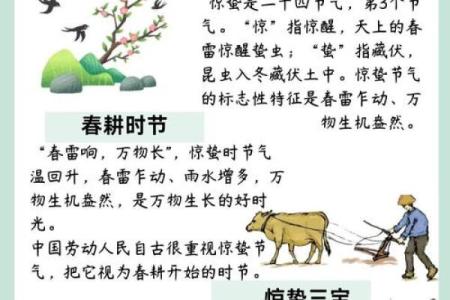 农耕文化中的节令与生活智慧