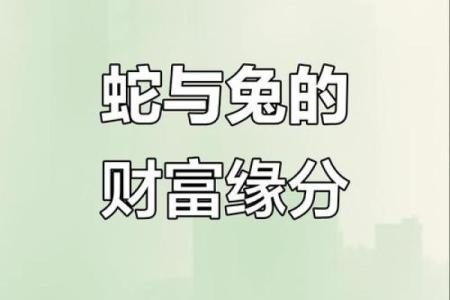 属兔婚配命理中的命运密码:你不知道的隐藏玄机
