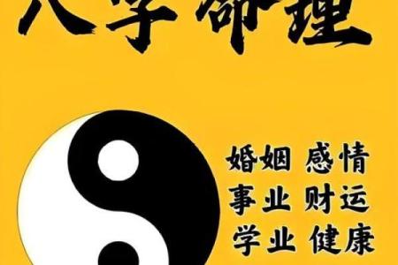 玄象命理:揭开你的命运密码,改变人生的关键时刻