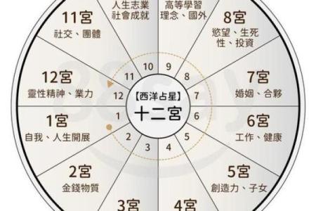 命运密码揭示:复婚背后的隐藏玄机,你真的了解吗?
