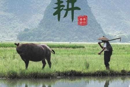三月农耕节日大盘点：春耕时节的民俗与习惯