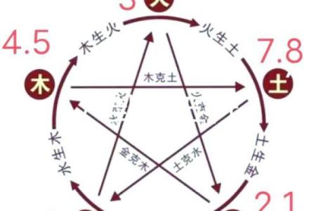 象的五行格局揭秘：如何洞察性格解析？
