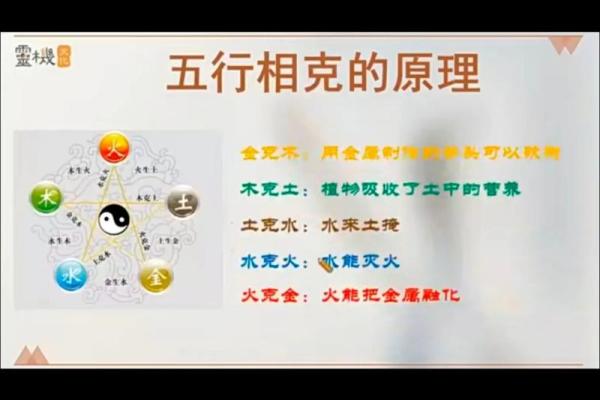 五行格局与命运:揭秘性格背后的五行秘密 五行格局与命运:揭秘性格背后的五行秘密