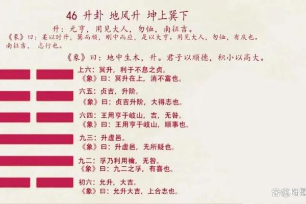 你的命运密码:周易八字揭示隐藏的生命轨迹 你的命运密码:周易八字揭示隐藏的生命轨迹