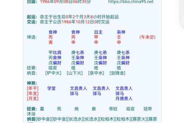 你的命运密码:周易八字揭示隐藏的生命轨迹 你的命运密码:周易八字揭示隐藏的生命轨迹