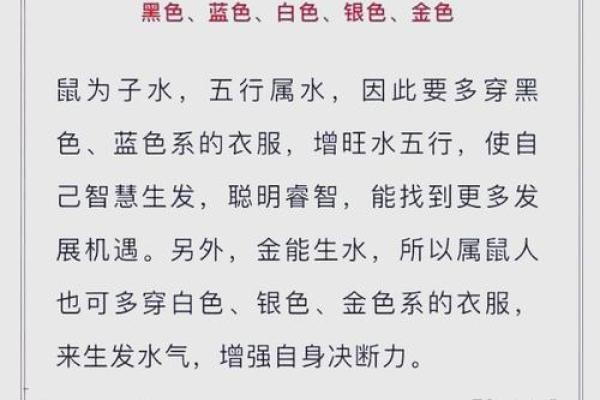 属马者的五行格局解析:颠覆传统观念,看你的性格如何转变 属马者的五行格局解析:颠覆传统观念,看你的性格如何转变