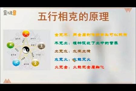 五行格局与命运：揭秘性格背后的五行秘密