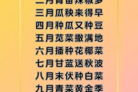 十二月的农业传统：农民如何迎接寒冷的季节