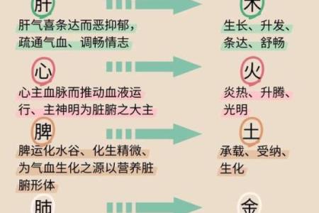 九四年五行格局如何改变?揭秘性格提升的实用方法