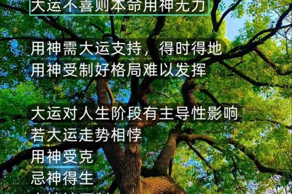 打破八字命理误区,反而能改变你的人生轨迹 打破八字命理误区,反而能改变你的人生轨迹