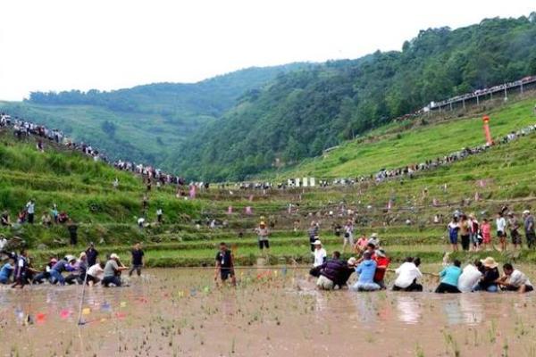 哈尼族丰收节如何展现自然与养生的融合 哈尼族丰收节如何展现自然与养生的融合