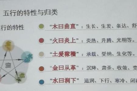 突破五行局限:琳如何利用五行格局反而提升自己?