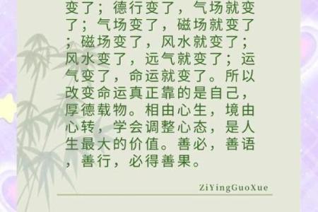 佛滔命理：揭开你命运密码的那一瞬，改变从此开始