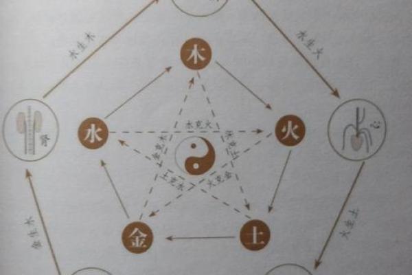 五行性格解析:破解你的五行密码,找到最适合你的发展路径 五行性格解析:破解你的五行密码,找到最适合你的发展路径