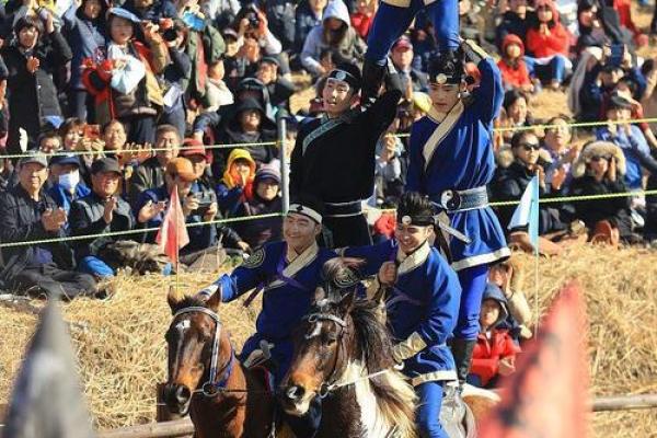 如何通过那达慕节日了解草原的民俗与精神