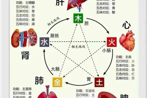 五行性格解析：揭秘你的五行命盘，揭秘你的内在格局