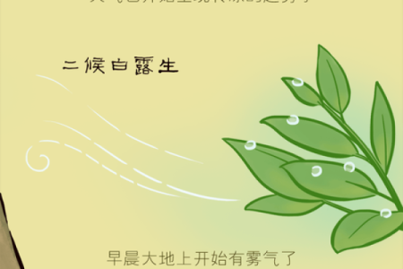 立秋节气与养生与饮食的季节变化