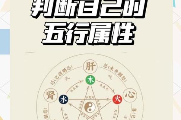 性格解析新视角:如何运用五行格局调整生活状态? 性格解析新视角:如何运用五行格局调整生活状态?