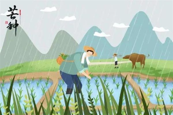 仡佬节日背后的农耕文化与节令安排 仡佬节日背后的农耕文化与节令安排