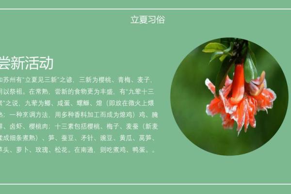 探索立夏,古老节令对现代生活的深远影响 探索立夏,古老节令对现代生活的深远影响