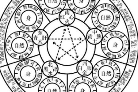 五行性格解析新视角:揭秘你的五行格局,实现人生大不同