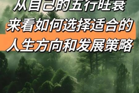 五行格局揭秘:性格解析如何指引人生方向?