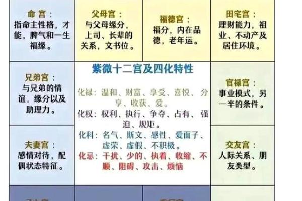 车主性格密码：五行格局如何揭示你的驾驶性格？