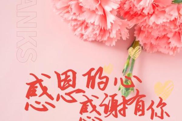 感恩节背后的历史与家庭团聚意义