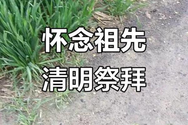 韩国清明节的祖先祭祀与文化传承