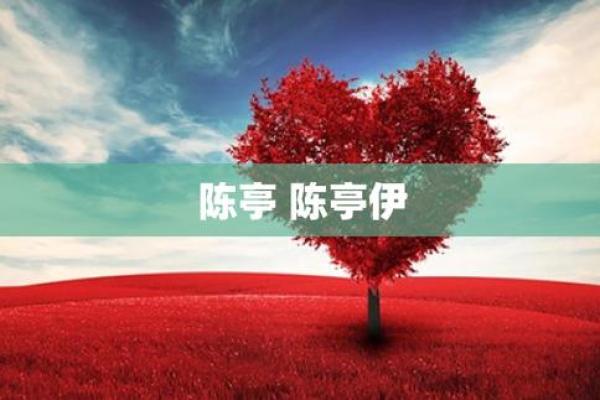 伊字五行格局揭秘:性格解析中的隐藏秘密 伊字五行格局揭秘:性格解析中的隐藏秘密