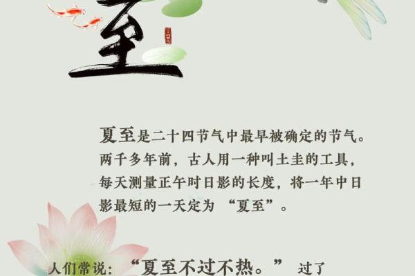 传统节日:夏至的阳光与热情庆典 传统节日:夏至的阳光与热情庆典