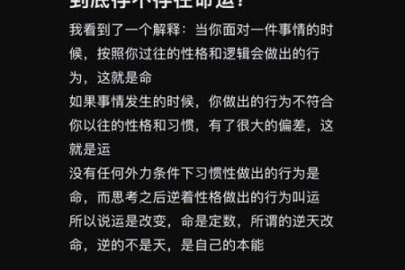 探索命运密码，命理还园揭开命运的隐藏面纱