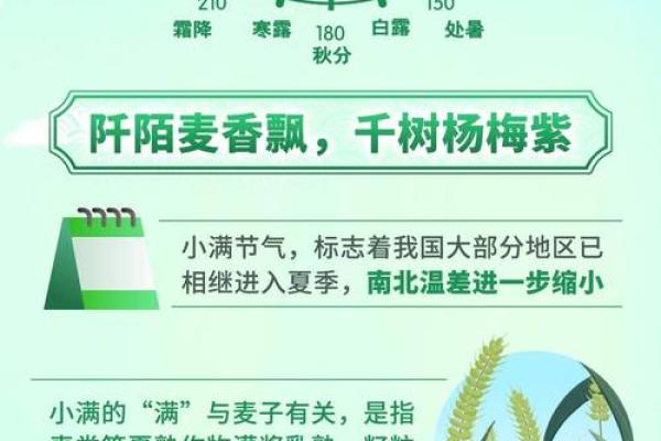 五月十五日:如何在五月节令中调整饮食与作息 五月十五日:如何在五月节令中调整饮食与作息