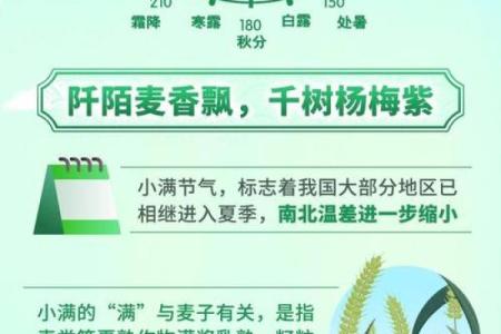 五月十五日：如何在五月节令中调整饮食与作息