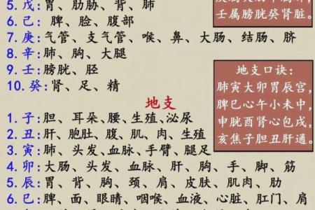 误区警惕：八字命理中的常见错误，影响你一生