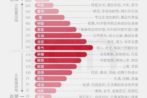性格解析新视角：跃五行格局，你的内在密码是什么？