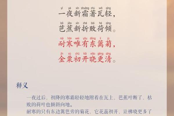 重阳节的登高赏菊与古诗中的秋韵