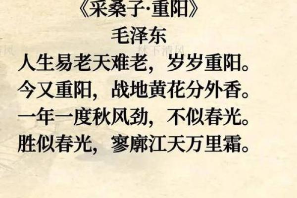 重阳节的登高赏菊与古诗中的秋韵