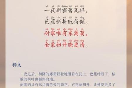 重阳节的登高赏菊与古诗中的秋韵