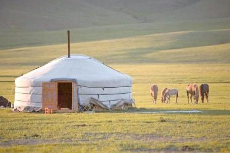 揭秘蒙古族传统节日中的牧民生活与农耕智慧