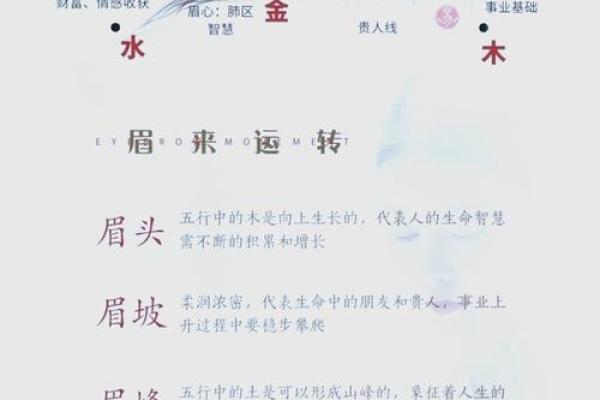 性格重塑的秘密武器:廷五行格局,颠覆传统性格解读 性格重塑的秘密武器:廷五行格局,颠覆传统性格解读