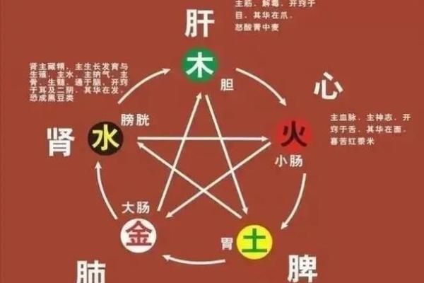 实用五行格局指南：教你如何调整性格，提升运势