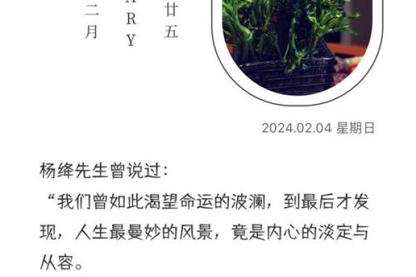 马伊琍的八字揭秘：隐藏的命运密码竟是这个