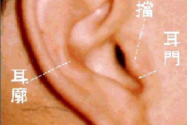 性格解析新视角：尘五行属解析，揭开你的神秘面纱