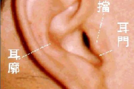 性格解析新视角：尘五行属解析，揭开你的神秘面纱