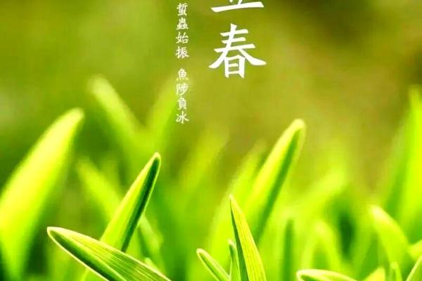 立春:农耕与养生的双重意义 立春:农耕与养生的双重意义