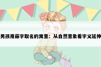 男孩用藤字取名的寓意：从自然意象看字义延伸